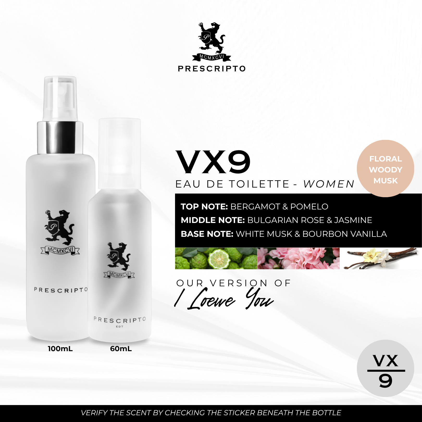 VX9 - OUR VERSION OF I LOEWE YOU